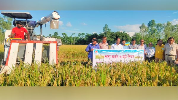 গাইবান্ধার সুন্দরগঞ্জে আউশ ধানের শস্য কর্তন ও মাঠ দিবস অনুষ্ঠিত