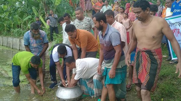 ফুলবাড়ী উপজেলার চাঁদপাড়া জলাশয়ে পোনা মাছ অবমুক্তকরণ॥