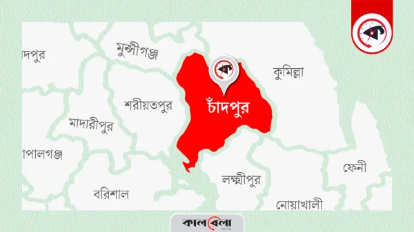 চাঁদপুরে পৃথক ঘটনায় দুই যুবকের আত্মহত্যা