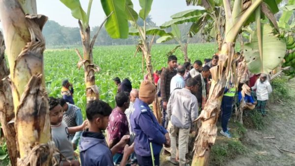 কুষ্টিয়ায় পুকুরে মিললো নির্মাণ শ্রমিকের লাশ