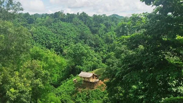 রাঙামাটির জঙ্গলে পড়ে ছিল গুলিবিদ্ধ মরদেহ