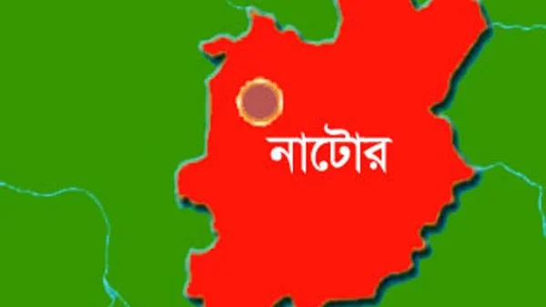 বড়াইগ্রামে আগুনে পুড়েছে বসতবাড়ি